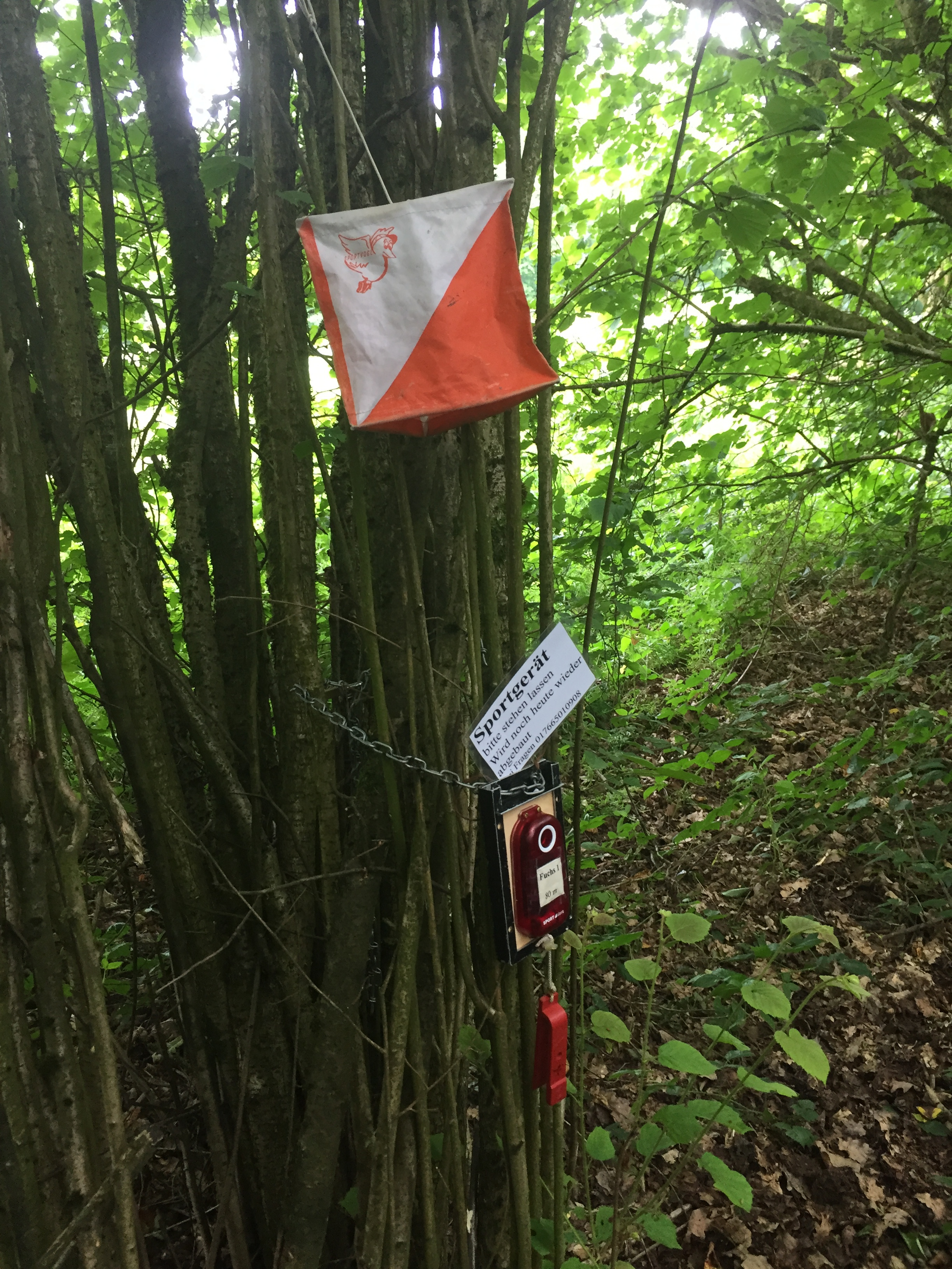 1) Kurzbeschreibung: ARDF-Fuchs im Wald mit Wimpel, Sender und Zeitnehmer.
<ol start=